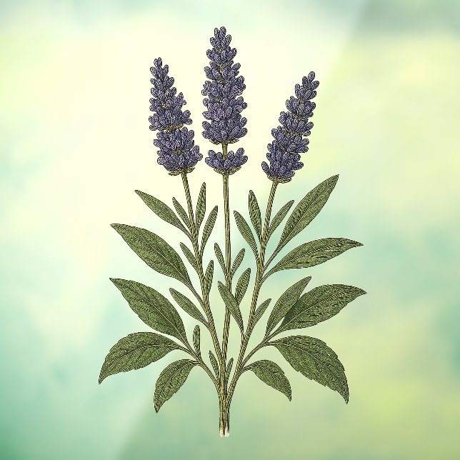 Vinilos Para Cristales Vintage Lavender (Hoja 3)