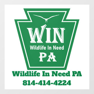 Vinilos Para Cristales WIN Logo Window Cling-White background