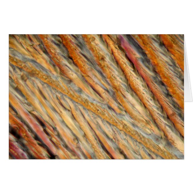 Vino bajo el microscopio - Chardonnay (Anverso (Horizontal))