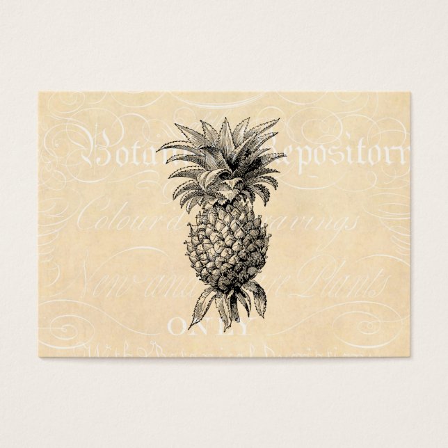 Vintage 1800 Ilustracion de piña (Frente)