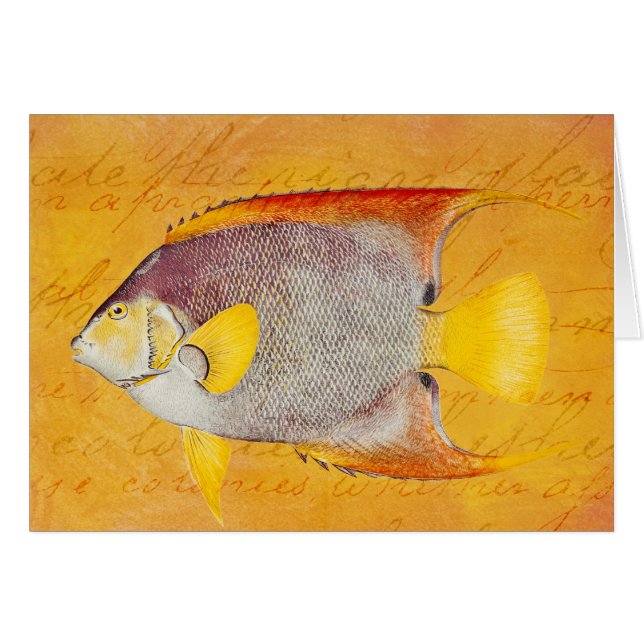 Vintage Angel Fish - Antiguo Hawaii (Anverso (Horizontal))