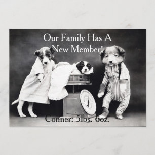 Vintage B&W Dogs Nueva Invitación de Cachorro