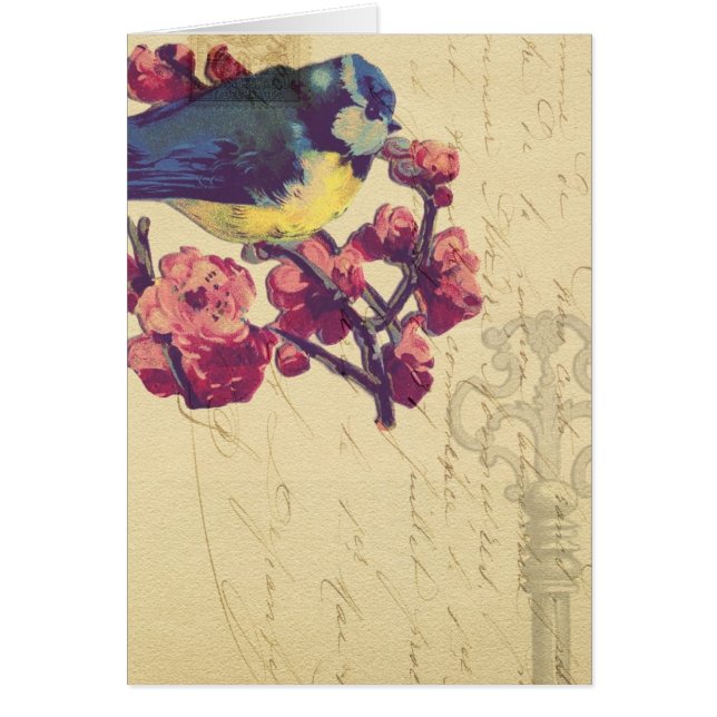 Vintage Bird (Frente)