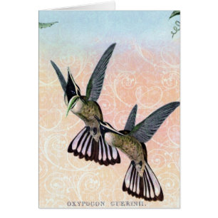 Vintage Bird Digital Art