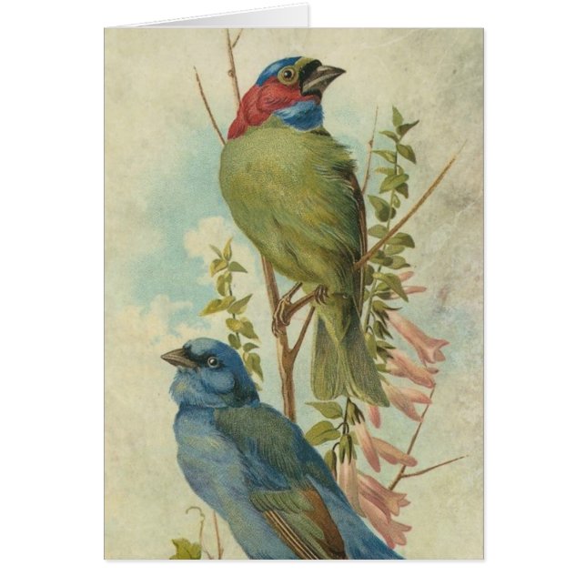 Vintage Blue and Green Birds All Ocassion (Frente)