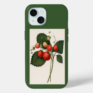 Vintage Boston Pine Strawberry Case-Mate iPhone C