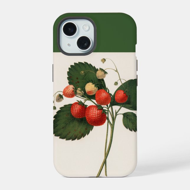 Vintage Boston Pine Strawberry  Case-Mate iPhone C (Reverso )