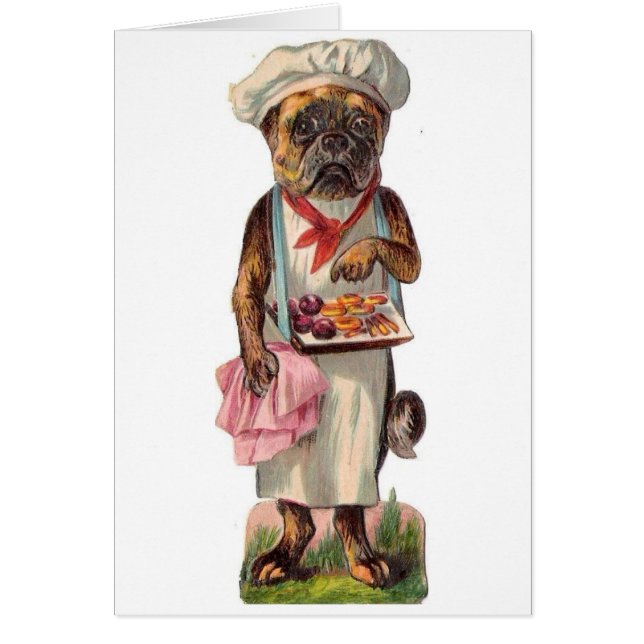 Vintage - bulldog en el equipo del cocinero, (Frente)