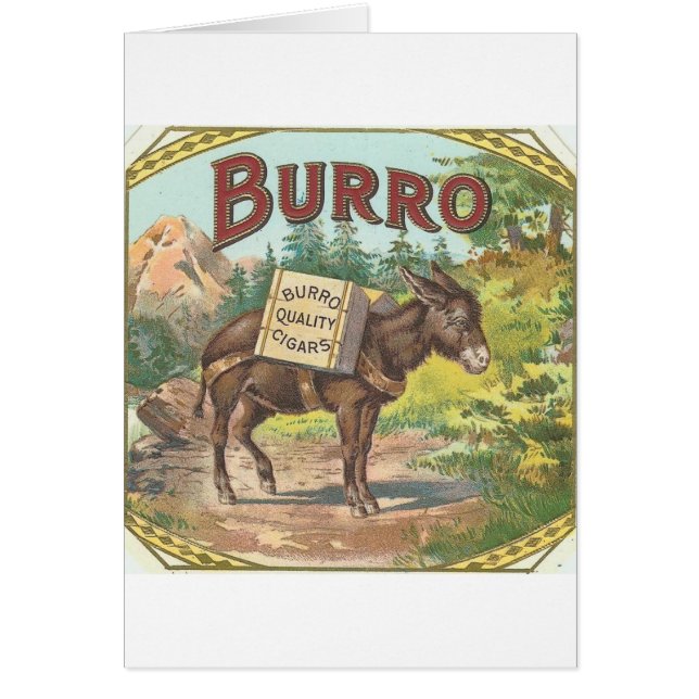 Vintage Burro (Frente)