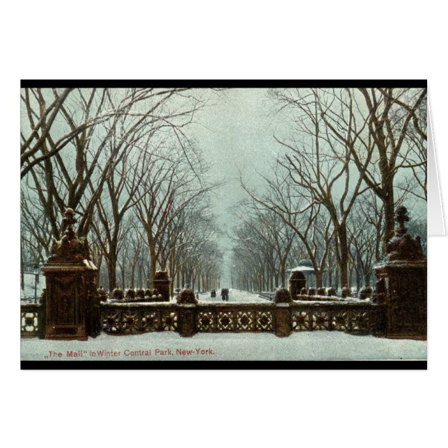 Vintage c1910 del Central Park NY del invierno (Anverso (Horizontal))