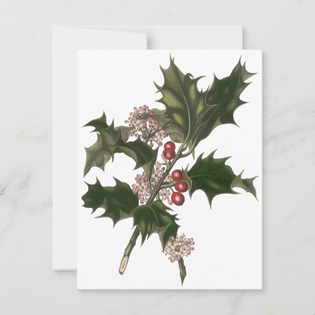 Vintage Christmas, Holly Plant Berries Invitación (Anverso)