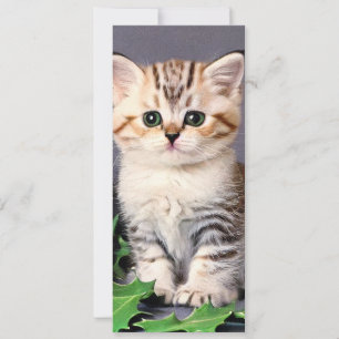 Vintage Christmas Kitten and Holly Card