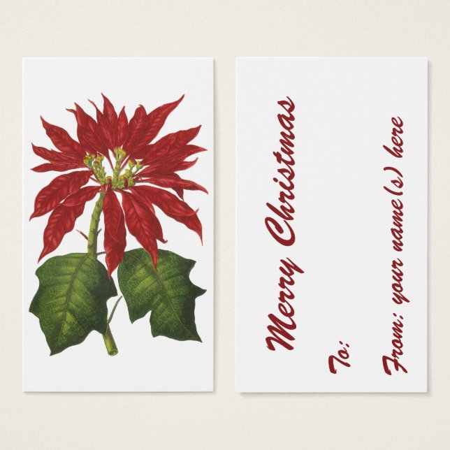Vintage Christmas, Red Poinsettia WinPlanta (Anverso y reverso)