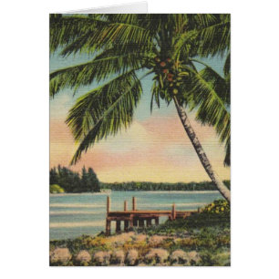 Vintage Coconut Palmas Breeze Tropical Sunset