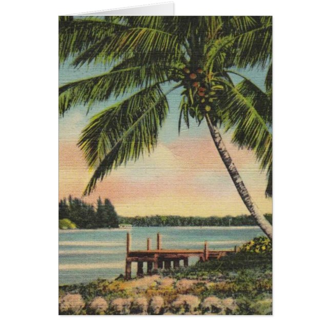 Vintage Coconut Palmas Breeze Tropical Sunset (Frente)