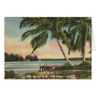 Vintage Coconut Palmas Breeze Tropical Sunset
