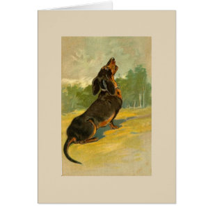 Vintage - Dachshund que grita,