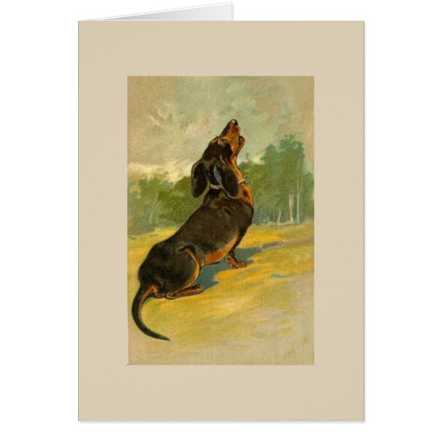 Vintage - Dachshund que grita, (Frente)