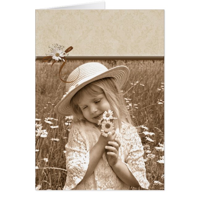 Vintage Daisies (Frente)