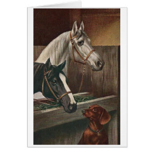 Vintage - el Dachshund visita caballos,