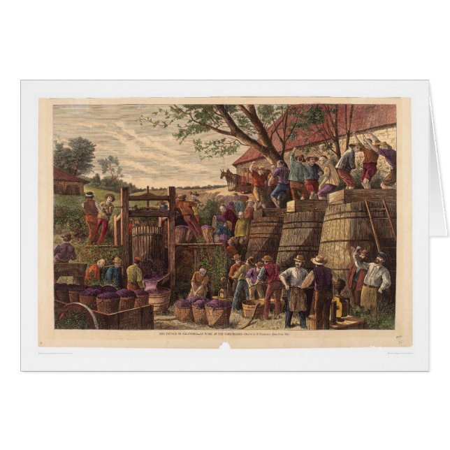 Vintage en California (0604A) (Anverso (Horizontal))