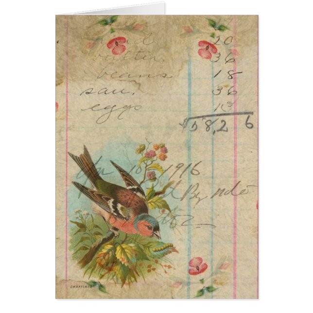 Vintage Finch (Frente)