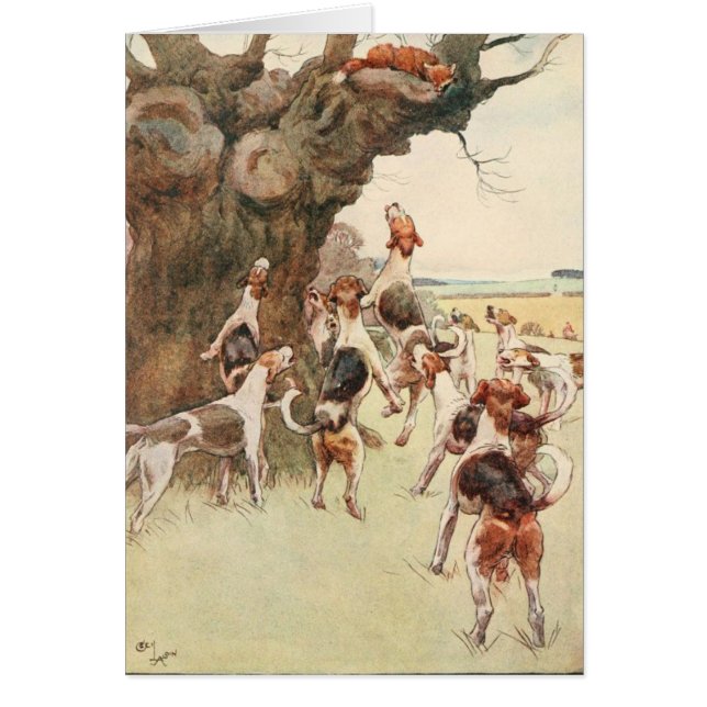 Vintage - Fox y perros, (Frente)