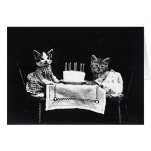 Vintage - gatitos del feliz cumpleaños (espacio en