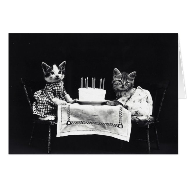 Vintage - gatitos del feliz cumpleaños (espacio en (Anverso (Horizontal))