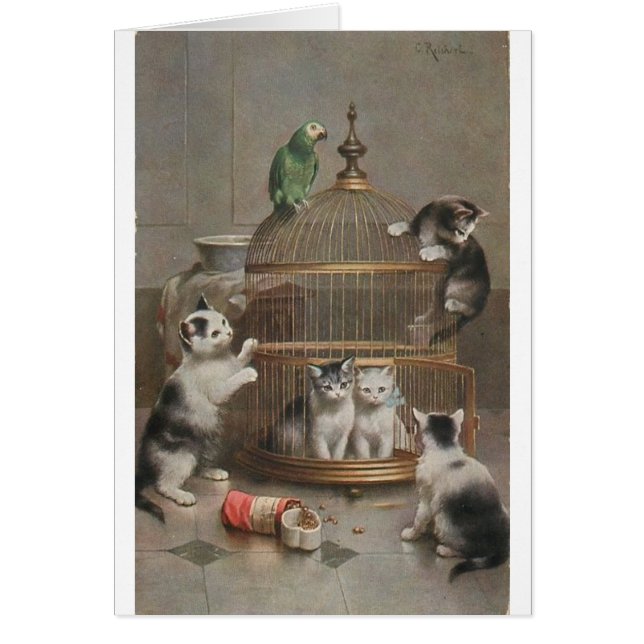 Vintage - gatitos y loro, (Frente)