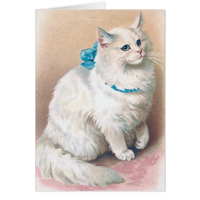 Vintage - gato blanco con el arco azul, (Frente)