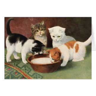 Vintage gato y leche