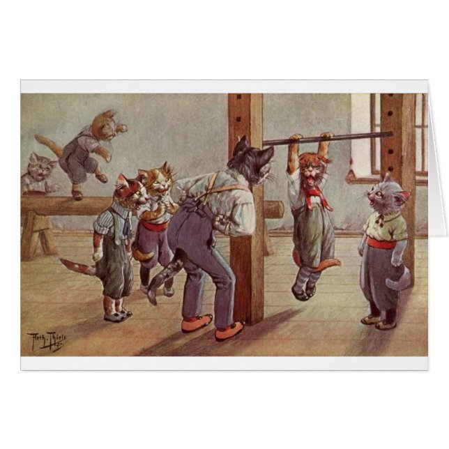 Vintage - Gatos en clase de gimnasia, (Anverso (Horizontal))