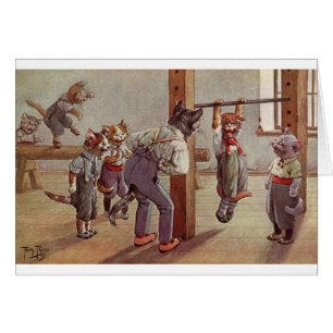 Vintage - gatos en clase del gimnasio,