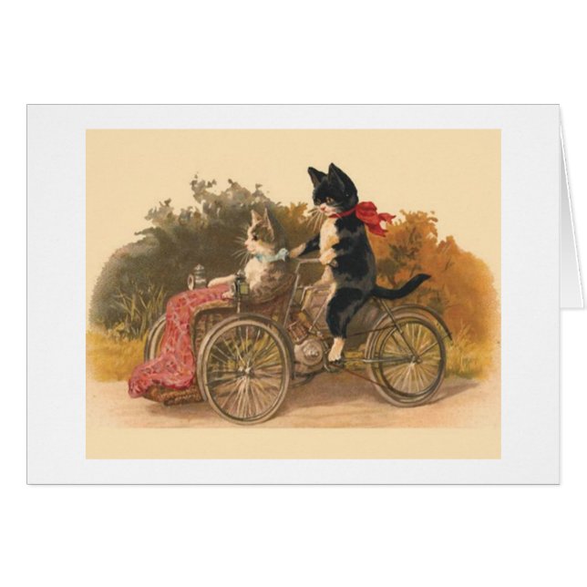 Vintage - gatos en un paseo de la bicicleta, (Anverso (Horizontal))