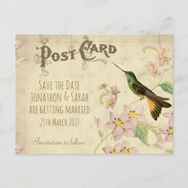 Vintage guardar la fecha postal colibrí (Anverso)