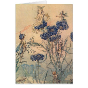 Vintage - hadas del Cornflower,