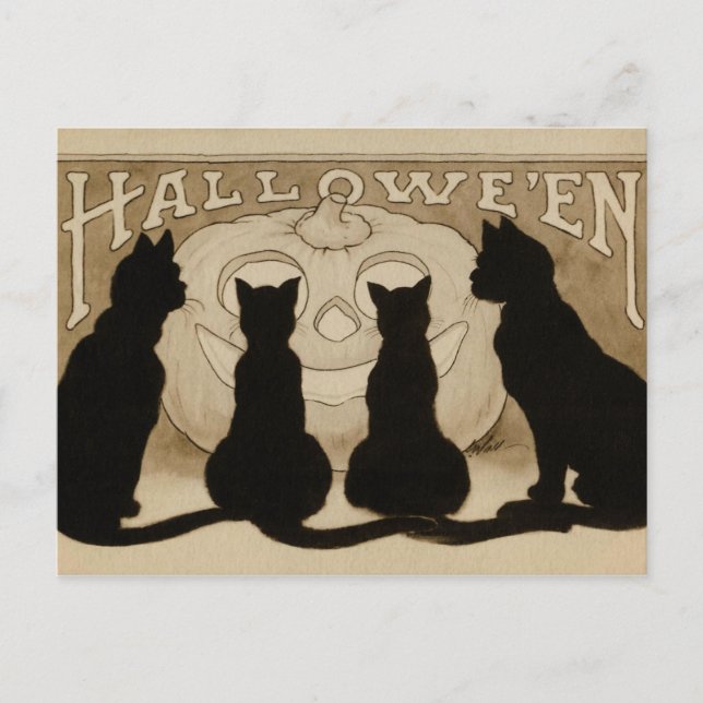 Vintage Halloween gatos negros postal de calabaza (Anverso)