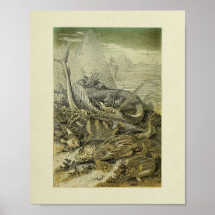 Vintage Historia Natural Pescado Ilustracion Arte 