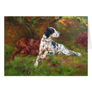 Vintage - inglés y perros de Irish Setter,