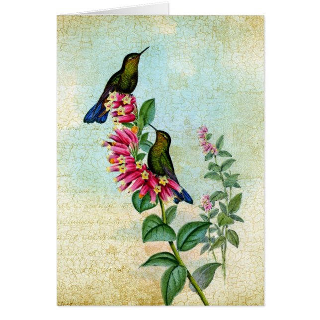 Vintage Kolibris, Gute Besserung (Frente)