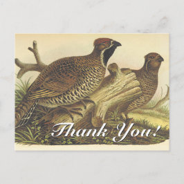 Vintage Look, Dos Aves "¡Gracias!" Postal