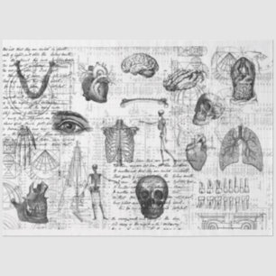 Vintage Medical Body Gothic Papel Tejido B&W