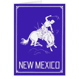 Vintage New México