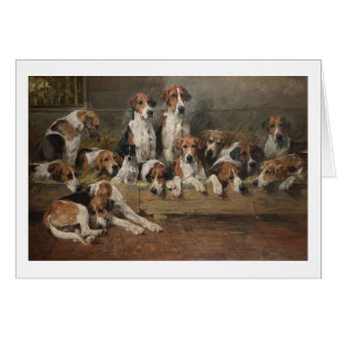 Vintage - nuevos perros del raposero del bosque,