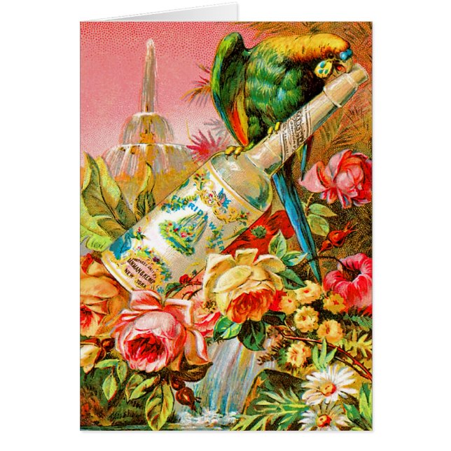 Vintage Parrott (Frente)