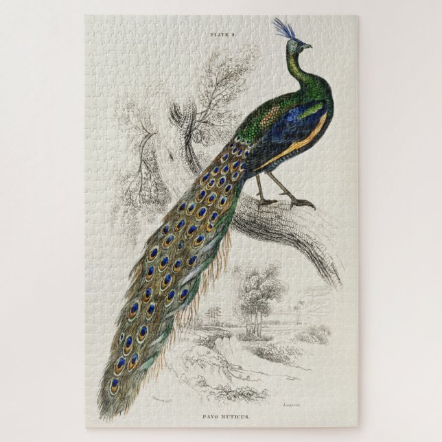 Vintage Peacock Art Jigsaw Puzzle Hard 1000 Pieces (Vertical)