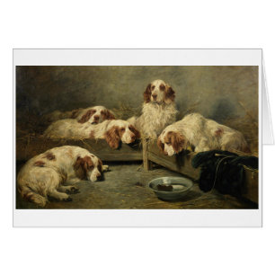 Vintage - perros de aguas de Clumber y un ratón,