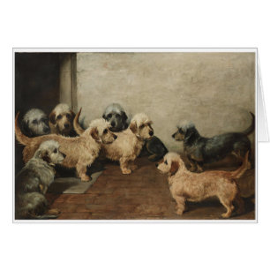 Vintage - perros de Dandie Dinmont Terrier,