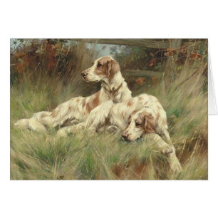 Vintage - perros del organismo inglés en el campo,